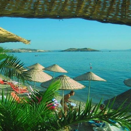 Teras Motel فوكا المظهر الخارجي الصورة