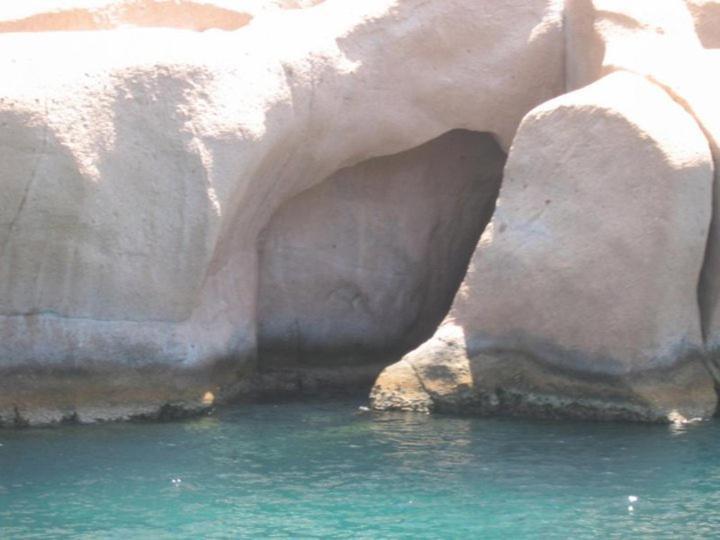 Teras Motel فوكا المظهر الخارجي الصورة