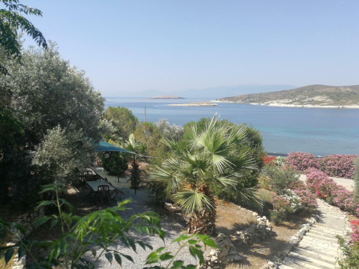Teras Motel فوكا المظهر الخارجي الصورة